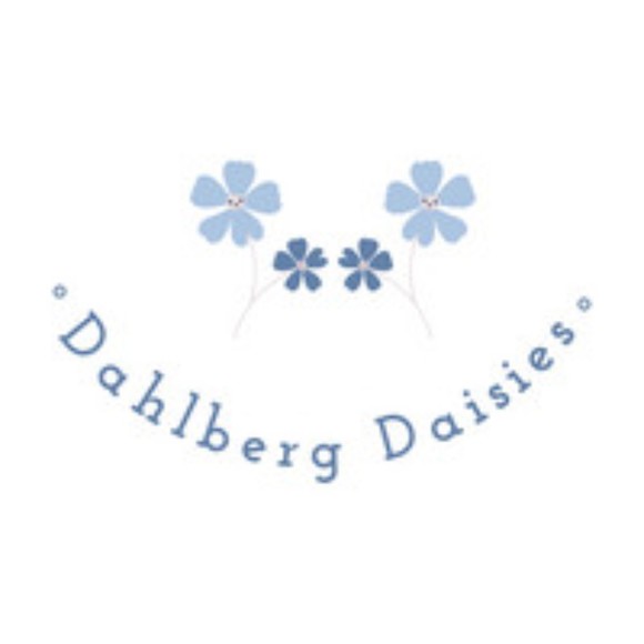 dahlbergdaisies